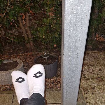 Stark duftenden Socken Gr.37